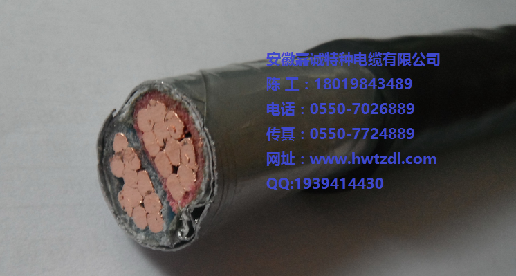 YJV22-0.6/1kv-3150+195ϩԵװ