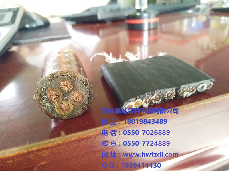 ����ͨ�ŵ���CPEV CPEV-S