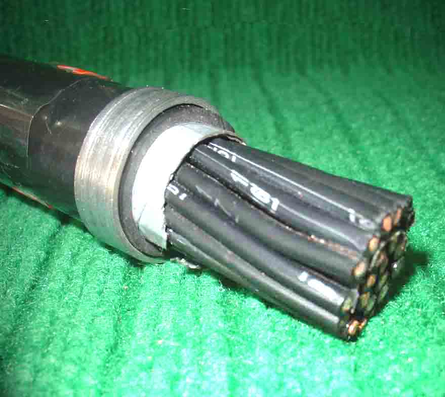 ZRKVV,ZRKVVP���U����q�l